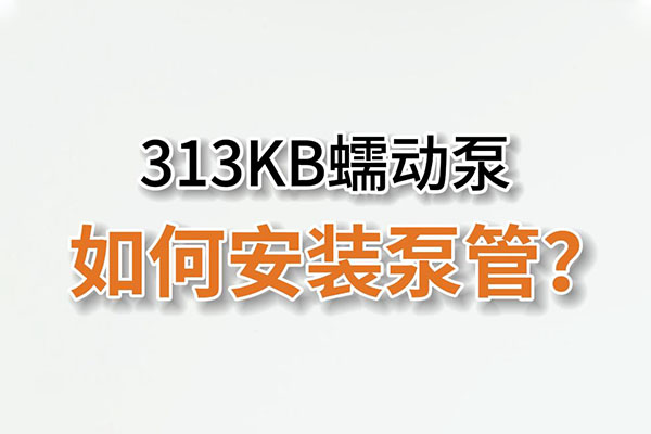 313KB蠕動(dòng)泵如何安裝泵管